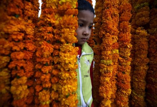 A boy stands in between the garlands kept on sale along the streets of Kathmandu during the Tihar festival, also called Diwali, in Kathmandu, Nepal.