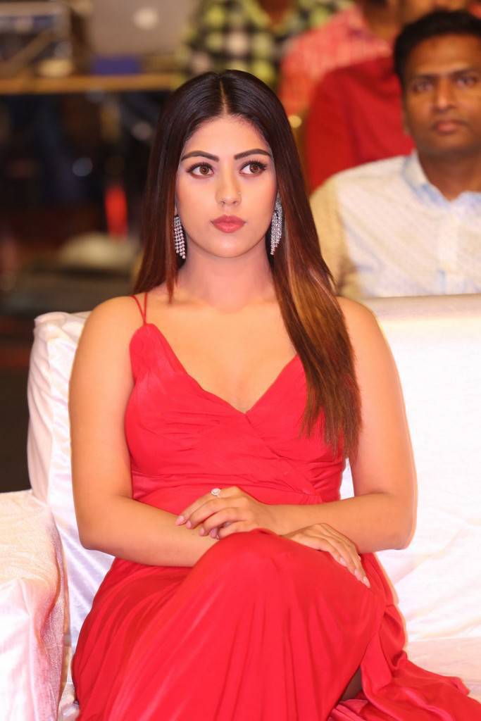 Actress Anu Emmanuel at Oxygen audio launch. Gopichand,Anu Emmanuel,Yuvan Shankar Raja,Sarathkumar,Nassar,Oxygen audio launch,Oxygen audio,Oxygen music,Oxygen audio launch pics,Oxygen audio launch images,Oxygen audio launch stills,Oxygen audio launch pictures,Oxygen audio launch photos