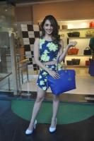 Kiara Advani Launches Da Milano Brand Spring Summer Collection 2015,Kiara Advani,actress Kiara Advani,Kiara Advani latest pics,Kiara Advani pics,Kiara Advani images,Da Milano Brand Spring Summer Collection,Da Milano Brand