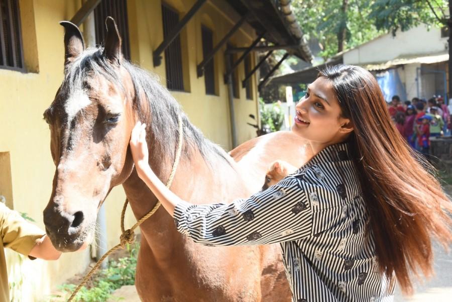 Bollywood actress Athiya Shetty visits The Bombay Society for the Prevention of Cruelty to Animals in Mumbai. Athiya Shetty,actress Athiya Shetty,The Bombay Society for the Prevention of Cruelty to Animals,Cruelty to Animals