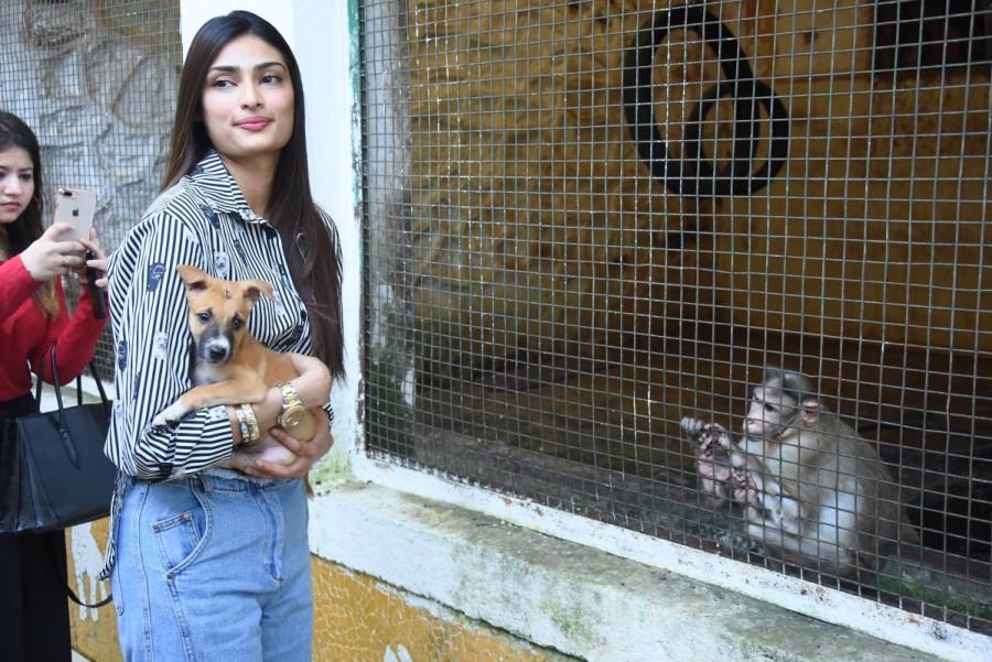 Bollywood film actress Athiya Shetty visits The Bombay Society for the Prevention of Cruelty to Animals in Mumbai. Athiya Shetty,actress Athiya Shetty,The Bombay Society for the Prevention of Cruelty to Animals,Cruelty to Animals