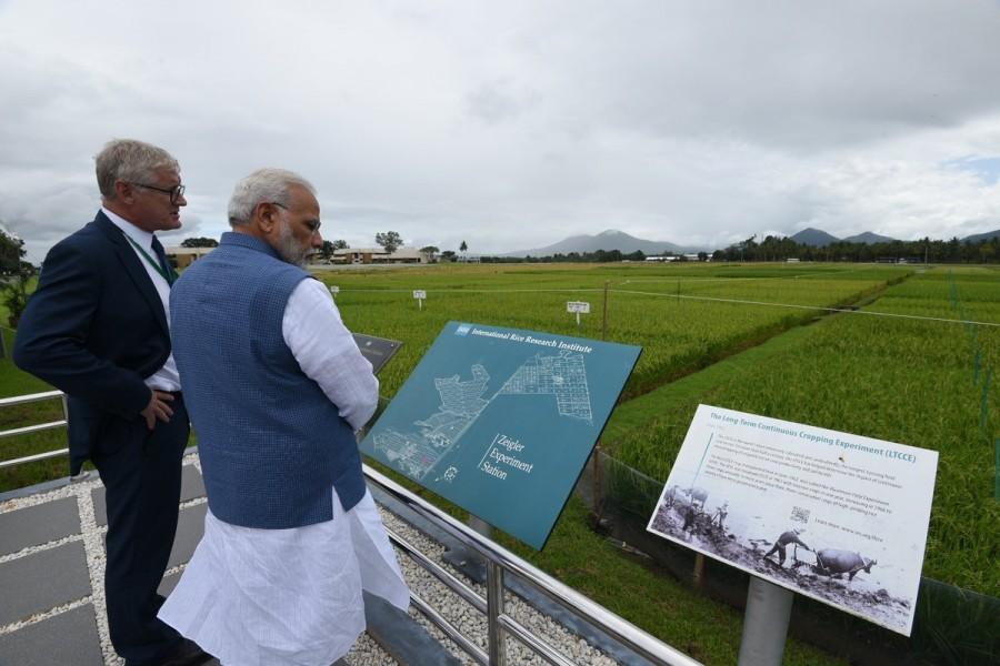 Modi reviewed a photo exhibit showcasing flood tolerant, drought tolerant and salinity tolerant rice varieties and IRRI's work with women farming cooperatives. He also undertook a symbolic ground breaking for a new plot for submergence tolerant rice varieties and unveiled a plaque to mark the inauguration of the Narendra Modi Resilient Rice Field Laboratory. PM Narendra Modi,Narendra Modi,Narendra Modi in Philippines,Modi in Philippines,IRRI,International Rice Research Institute