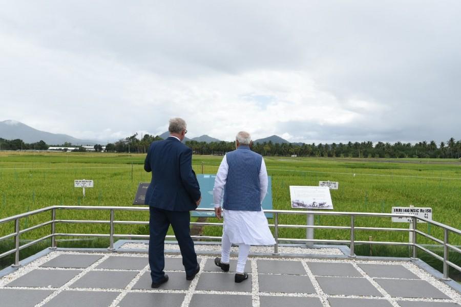 IRRI will set up a South Asia Regional Centre at Varanasi, which will be the first such centre outside its headquarters in the Philippines. PM Narendra Modi,Narendra Modi,Narendra Modi in Philippines,Modi in Philippines,IRRI,International Rice Research Institute