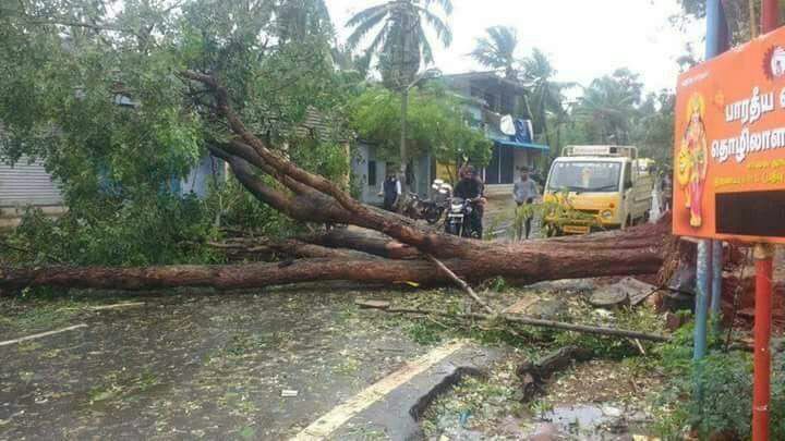 Cyclone Ockhi brings heavy rains, strong winds to Kanyakumari. Cyclone Ockhi,Cyclone Ockhi kerala,Cyclone Ockhi in Kanyakumari,Cyclone,Cyclone in Kanyakumari,Kanyakumari,Kanyakumari rain