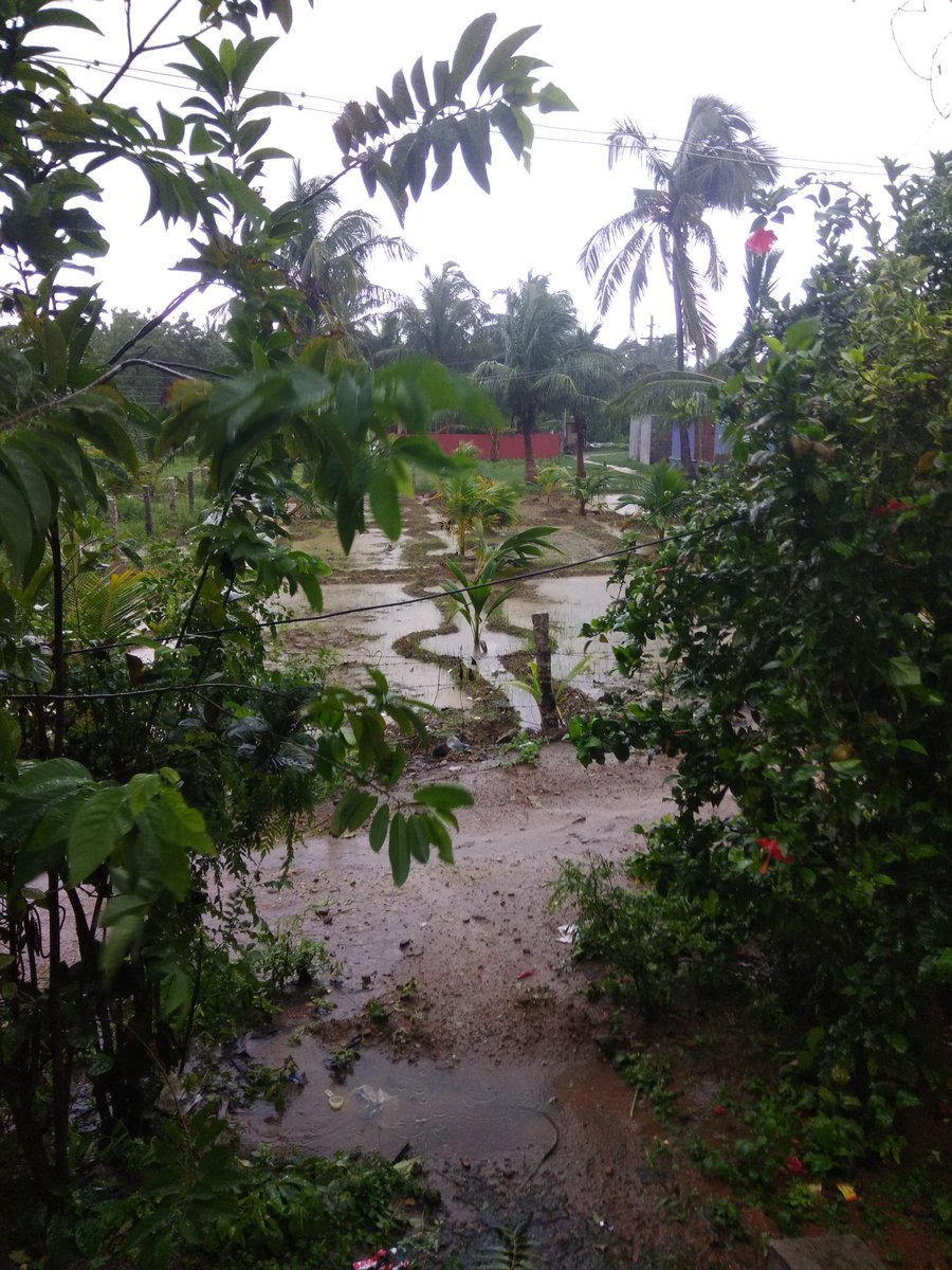 Cyclone Ockhi brings heavy rains, strong winds to Kanyakumari. Cyclone Ockhi,Cyclone Ockhi kerala,Cyclone Ockhi in Kanyakumari,Cyclone,Cyclone in Kanyakumari,Kanyakumari,Kanyakumari rain