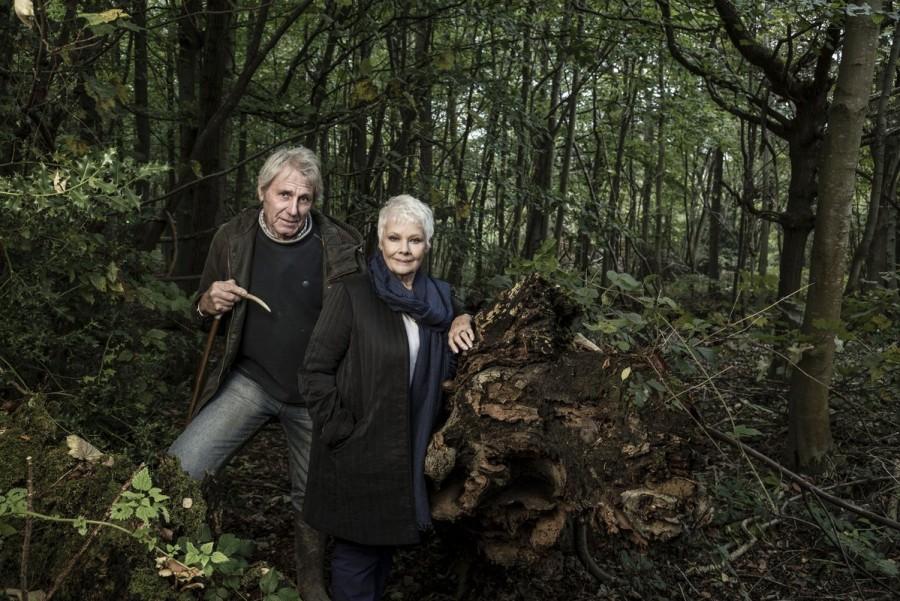 Actress Judi Dench says she created a "secret woodland" in her garden by planting trees in remembrance of friends, relatives and actors who have died. She talked about her way of paying tribute to her friends and family members in a documentary "Judi Dench, My Passion For Trees", reports telegraph.co.uk. The actress, 82, said she had been naming trees after dead acquaintances for decades in her six acre plot in Surrey, England. She said she views them as her "extended family". Judi Dench,actress Judi Dench,secret woodland,Judi Dench plants trees