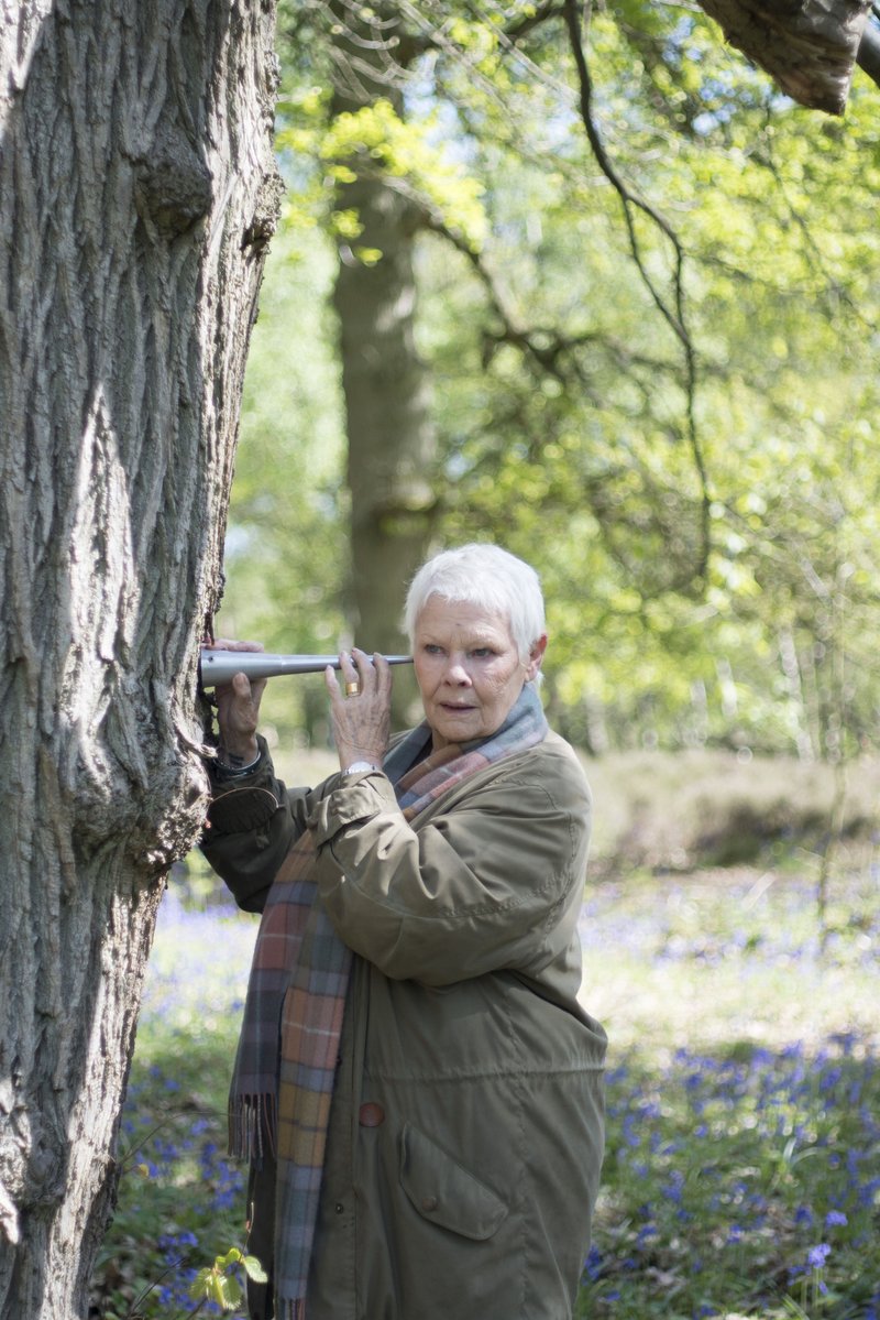 For actor Robert Hardy, who died in August, she planted a yew tree, because Hardy was a published authority and collector of longbows, which were made from the tree. She added: "I started planting trees here with my actor and husband Michael Williams. Every time a relative or friend died, we would plant a tree. Judi Dench,actress Judi Dench,secret woodland,Judi Dench plants trees