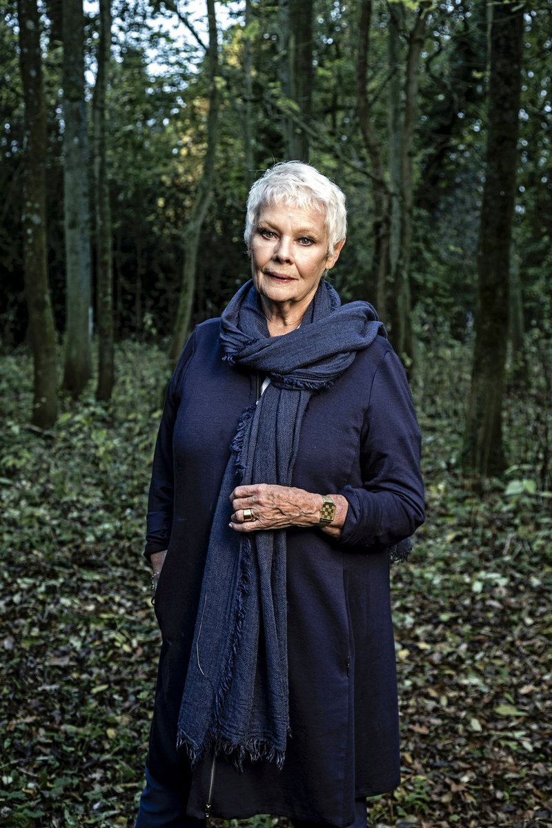 "There is one for Stephen Hanley, who performed in 'A Little Night Music'. It's very like him, he was very tall and pale. We have Ian Richardson, and Natasha Richardson. "It is about remembering and for me, it's something that's living and goes on, the memory goes on and gets more wonderful." Judi Dench,actress Judi Dench,secret woodland,Judi Dench plants trees
