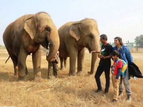 Adil Hussain, the lead actor of the acclaimed 