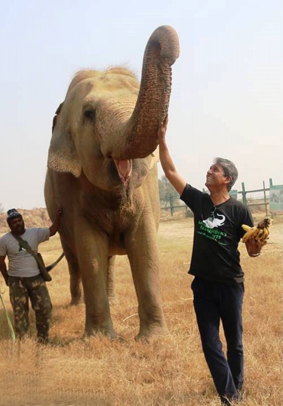 Adil said: "I learnt a lot about the suffering that elephants undergo and I would never endorse elephant rides or use of elephants in any kind of tourism or elephant processions. I fully support Wildlife SOS for the amazing work they do to protect elephants, bears and other wildlife." Wildlife SOS is internationally known to have brought an end to the exploitation of sloth bears across India and has rescued over 600 bears from the 'dancing bear' trade. Its centre here is the world's largest Sloth Bear Rescue Facility and currently houses nearly 200 rescued bears. Adil Hussain,actor Adil Hussain,Life of Pi,Wildlife SOS Elephant Conservation