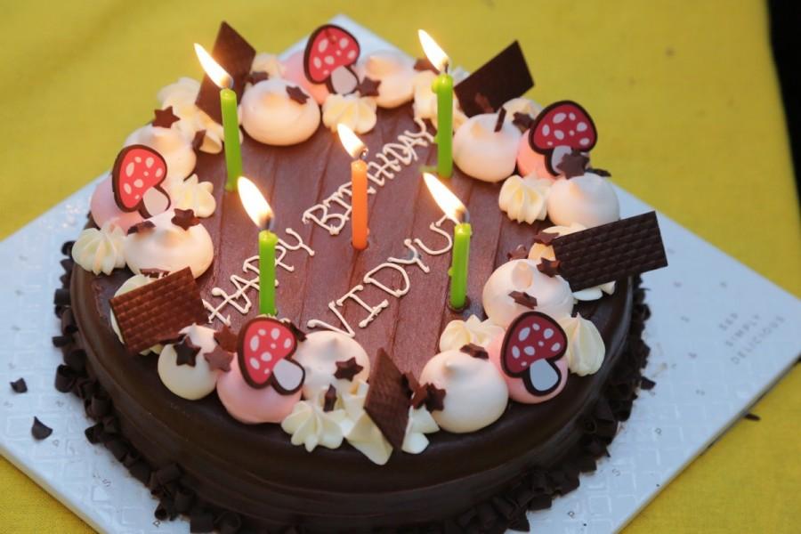 The team also wished the actor on instagram saying, "Here's wishing @mevidyutjammwal a very Happy Birthday! On his special day, #BeJunglee and use the Facebook filter to send him birthday wishes. Don't forget to share the post using #HBDVidyutJammwal http://bit.ly/VidyutBirthdayFilter". Junglee,Junglee team,Vidyut Jammwal,Vidyut Jammwal birthday celebration,Vidyut Jammwal birthday celebration in Thailand,Vidyut Jammwal birthday celebration pics,Vidyut Jammwal birthday celebration images,Vidyut Jammwal birthday celebration stills,Vidyut J