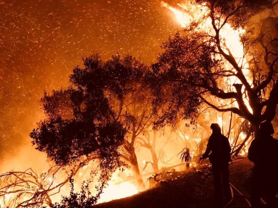 Firefighters knock down flames as they advance on homes atop Shepherd Mesa Road in Carpinteria. Southern California wildfire,California wildfire,Los Angeles,wildfire,Thousands flee California wildfires