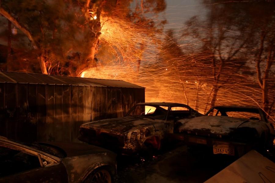 Embers blow from a tree shortly before it fell down near burned cars as strong winds push the Thomas Fire across thousands of acres near Santa Paula, California, U.S., December 5, 2017. Southern California wildfire,California wildfire,Los Angeles,wildfire,Thousands flee California wildfires