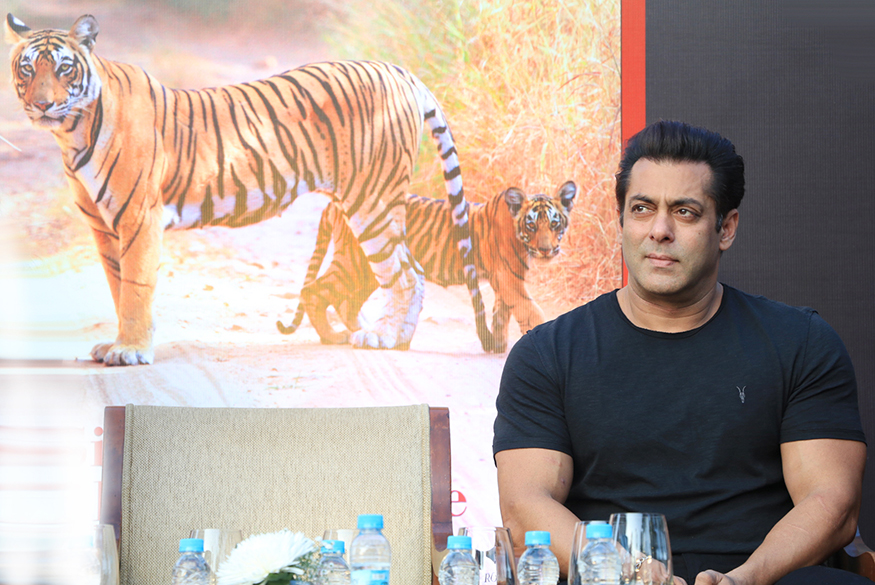 Salman Khan also said that every time, his movie is nearing release, Kak comes out with a book. Salman Khan,Katrina Kaif,Tiger Zinda Hai,Bika Kak,Bika Kak book,Bika Kak book launch,Salman Khan and Katrina Kaif