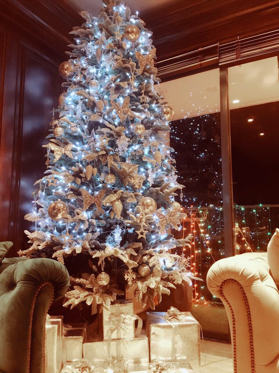South Indian actress Superstar Nayanthara celebrates Christmas with Vignesh Shivan. Nayanthara,Vignesh Shivan,Nayanthara and Vignesh Shivan,Nayanthara celebrates Christmas,Nayanthara Christmas celebration,Nayanthara Christmas celebration pics,Nayanthara Christmas celebration images,Nayanthara Christmas celebration stills