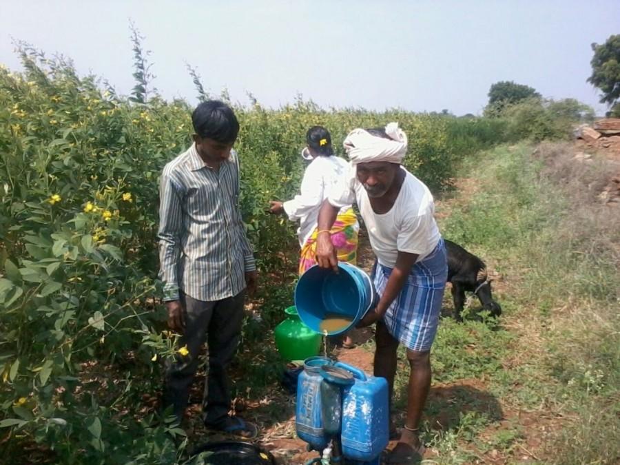 Nimhastra prepared for applying in redgram field of Padmavathamma. Mahaboob Basha,chillies,small farmers,big profits,Kurnool