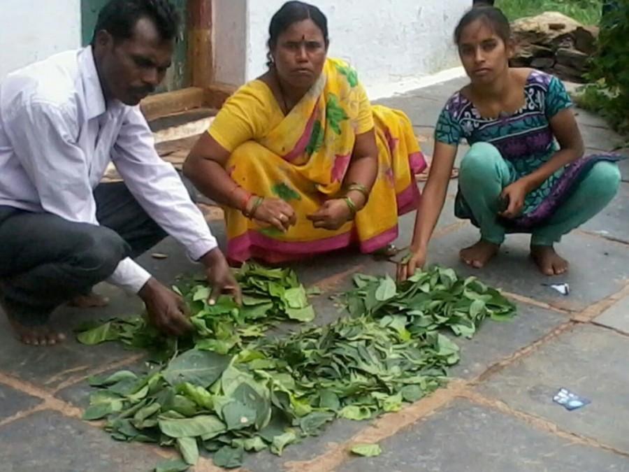 Brahmastra preparation time. Mahaboob Basha,chillies,small farmers,big profits,Kurnool