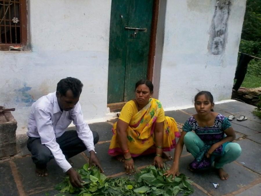 Brahmastra making 5 types of leaves. Mahaboob Basha,chillies,small farmers,big profits,Kurnool