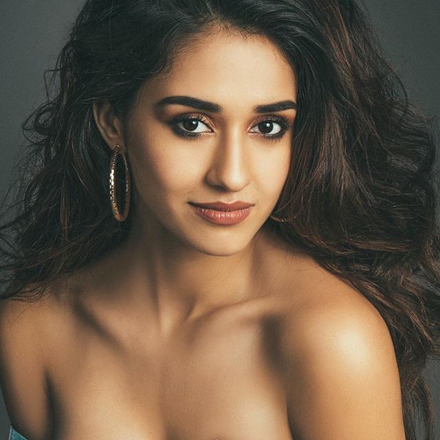 Disha Patani S Latest Picture Will Leave You Wanting For More Photos Images Gallery 80568