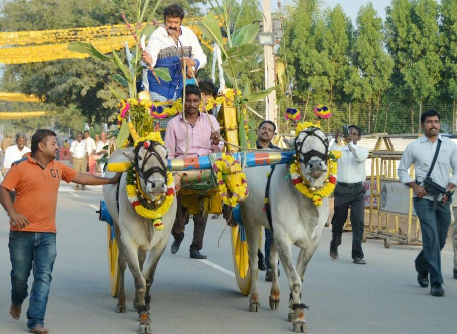 Nandamuri Balakrishna,Balakrishna,actor Nandamuri Balakrishna,Balakrishna celebrates Sankranthi,Sankranthi