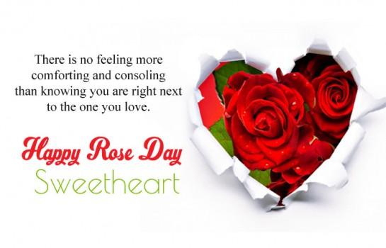 There is no feeling more comforting and consoling than knowing you are right next to the one you love. Happy Rose Day Dear!