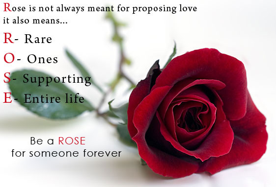 Rose Day – new year cards | Happy Valentines Day Greetings | Happy  Valentines Day Messages | Happy Valentines Day Gifts | Happy Valentines Day  Wallpapers | Valentines Day SMS