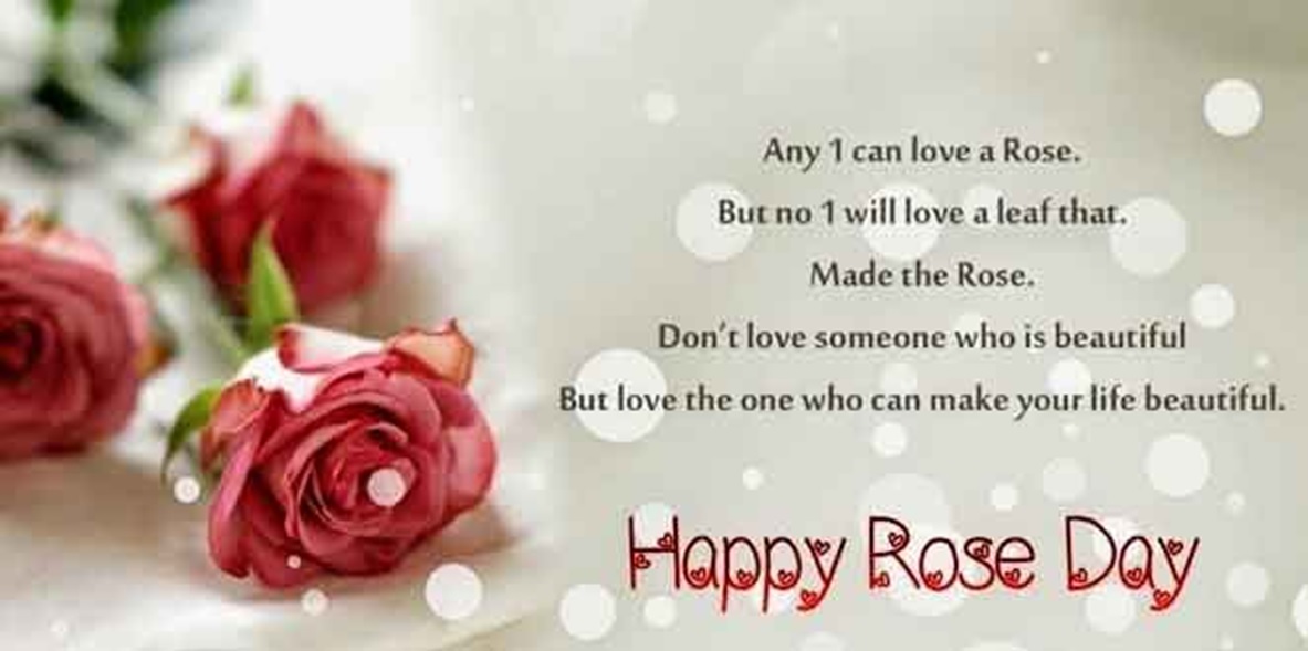 Rose Day 2016 Images