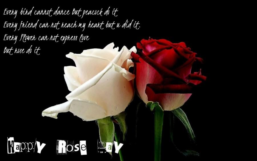 Your love is like the fragrance of roses - it refreshes me when I'm at my lowest. Happy Rose Day to the love of my life! Happy rose day,happy rose day wishes,happy rose day greetings,rose day photos,rose day images,rose day,rose day wishes,rose day WhatsApp messages,rose day facebook messages,Valentine week,Valentine day,Propose Day,Chocolate Day,Teddy Day,Promise Day,Hug D