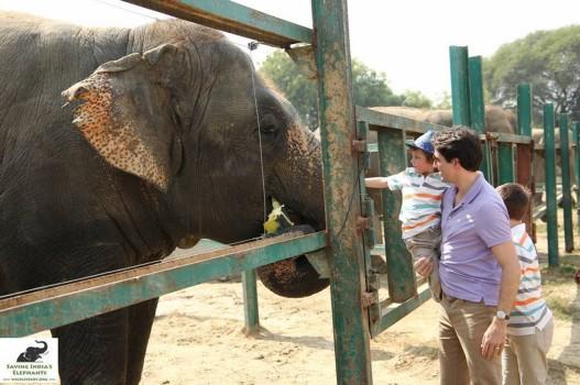 Trudeau who landed in Delhi on Saturday evening also visited the Taj Mahal with his family. Appreciating the cause against animal cruelty at the Wildlife SOS Elephant Conservation and Care Centre here, Trudeau said such initiatives need to be supported to protect wildlife in India. 