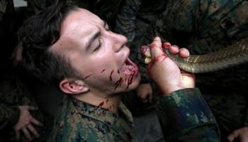 Cobra Gold military exercise,Cobra Gold military,US marine drinks cobra blood straight from cobra's mouth,US marine drinks snake blood,Cobra Gold 2018,drinking blood from cobra's mouth,drinking snake blood,eating scorpions and tarantulas,snake b