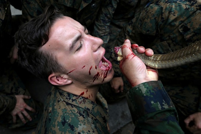 A U.S. Marine drinks the blood of a cobra during a jungle survival exercise as part of the "Cobra Gold 2018" (CG18) joint military exercise, at a military base in Chonburi province, Thailand. Cobra Gold military exercise,Cobra Gold military,US marine drinks cobra blood straight from cobra's mouth,US marine drinks snake blood,Cobra Gold 2018,drinking blood from cobra's mouth,drinking snake blood,eating scorpions and tarantulas,snake b