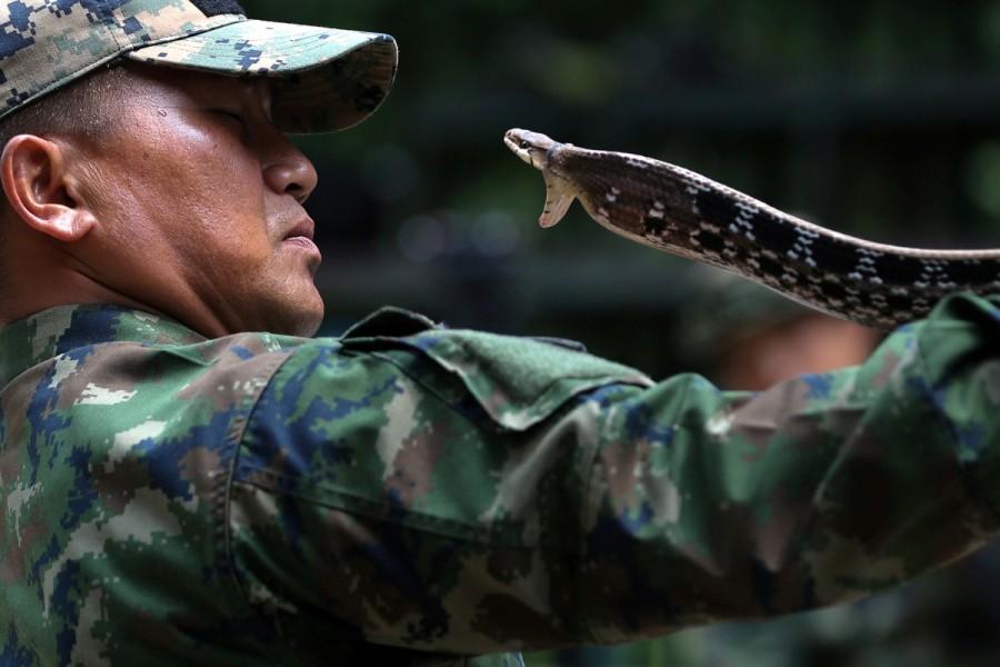 A Thai Navy instructor demonstrates how to catch a snake during a jungle survival exercise. Cobra Gold military exercise,Cobra Gold military,US marine drinks cobra blood straight from cobra's mouth,US marine drinks snake blood,Cobra Gold 2018,drinking blood from cobra's mouth,drinking snake blood,eating scorpions and tarantulas,snake b