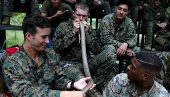 Cobra Gold military exercise,Cobra Gold military,US marine drinks cobra blood straight from cobra's mouth,US marine drinks snake blood,Cobra Gold 2018,drinking blood from cobra's mouth,drinking snake blood,eating scorpions and tarantulas,snake b