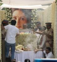 Sridevi last journey,Sridevi last journey pics,Sridevi last journey images,Sridevi,Chandni,sridevi funeral live,sridevi funeral