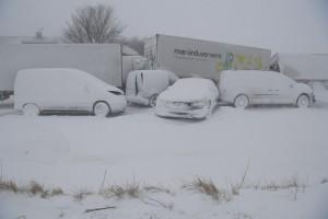 Arctic storm,Arctic storm in Europe,Europe,Europe cold weather,Europe Arctic storm