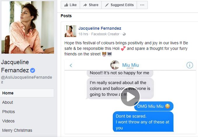 The actress, who is known to be a pet lover, also pets a cat named Miu Miu. Wishing Holi to her fans, Jacqueline shared a serious message of the perils of the festivals for animals, in a unique post. Jacqueline Fernandez,Jacqueline Fernandez with cat,actress Jacqueline Fernandez,Jacqueline Fernandez pics,Jacqueline Fernandez images,Jacqueline Fernandez poster,Jacqueline Fernandez wallpaper