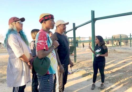 Grammy Award-winning American musician Pharrell Williams on Tuesday paid a visit to rescued elephants at a care centre run by animal welfare organisation Wildlife SOS in Uttar Pradesh's Mathura. He visited the Elephant Conservation and Care Centre after taking a look at Agra's majestic Taj Mahal.