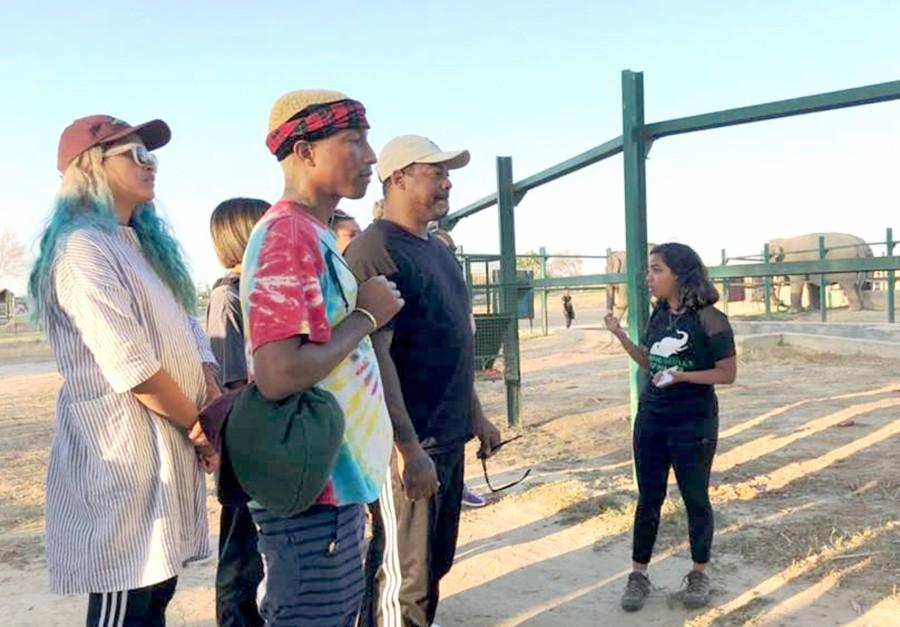 Grammy Award-winning American musician Pharrell Williams on Tuesday paid a visit to rescued elephants at a care centre run by animal welfare organisation Wildlife SOS in Uttar Pradesh's Mathura. He visited the Elephant Conservation and Care Centre after taking a look at Agra's majestic Taj Mahal. Pharrell Williams,Pharrell Williams visits elephant care centre,elephant care centre,musician Pharrell Williams,Pharrell Williams in india,Pharrell Williams pics,Pharrell Williams images