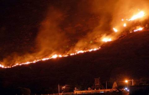 The IAF commando team flew in from Sulur air base near Coimbatore on Sunday late night and climbed up the hills. Defence Minister Nirmala Sitharaman on Sunday said the commandos will be deployed in rescue mission. They will carry medicines and provide medical assistance. Theni forest fire,Theni forest,Theni fire,Kurangani hills,Theni forest fire pics,Theni forest fire images,Kurangani Hills in Theni district