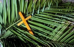 Palm Sunday,palm sunday 2018,palm sunday wishes,palm sunday bible quotes,palm sunday bible verses,palm sunday messages,palm sunday greetings,happy palm sunday,jesus christ,Easter 2018,palm sunday significance,palm sunday facts,what is palm sunday,why palm