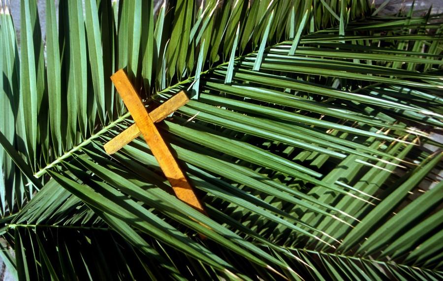 It's Palm Sunday and it's time to look back and remember what Christ has done for you. He had you on His mind over 2000 years ago - Unknown. Palm Sunday,palm sunday 2018,palm sunday wishes,palm sunday bible quotes,palm sunday bible verses,palm sunday messages,palm sunday greetings,happy palm sunday,jesus christ,Easter 2018,palm sunday significance,palm sunday facts,what is palm sunday,why palm