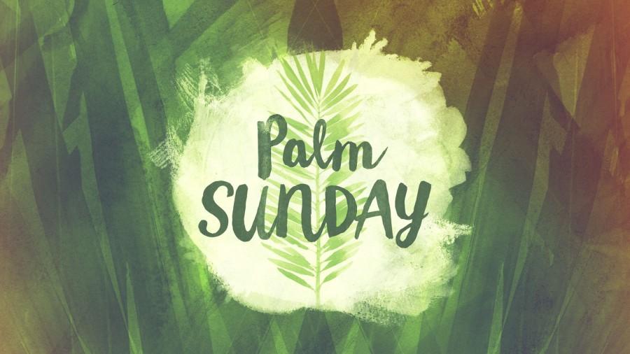 May the spirit of this holy occasion and the warmth of the season make your heart bloom with joy and happiness. Have a blessed Palm Sunday. Palm Sunday,palm sunday 2018,palm sunday wishes,palm sunday bible quotes,palm sunday bible verses,palm sunday messages,palm sunday greetings,happy palm sunday,jesus christ,Easter 2018,palm sunday significance,palm sunday facts,what is palm sunday,why palm