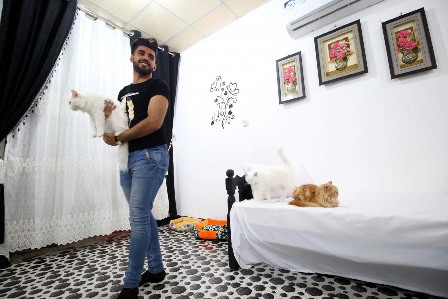"All these VIP services are offered at a very cheap price and this is very unique and happens for the first time in Iraq. I do not care about financial costs as much as I care about adopting animals in Basra." Cat Hotel,Cat Hotel in Iraq,Iraq Cat Hotel,Cat Hotel pics,Cat Hotel images,Ahmed Taher Maki