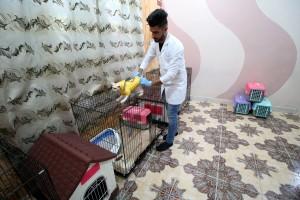 Cat Hotel,Cat Hotel in Iraq,Iraq Cat Hotel,Cat Hotel pics,Cat Hotel images,Ahmed Taher Maki