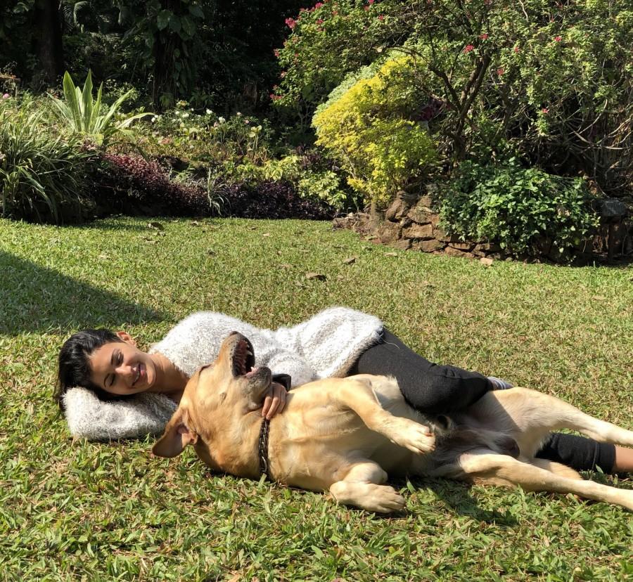 The World for All charity aims at raising funds for the welfare and well being of strays in India. Amyra is closely associated with the charity, so much so that all 4 of her pets over the years (she has had 3 dogs and 1 cat) have been adopted from there. Amyra Dastur,actress Amyra Dastur,Amyra Dastur with dogs,Amyra Dastur with cats,Amyra Dastur with pet animals,Amyra Dastur adorable pets,Amyra Dastur pics,Amyra Dastur images