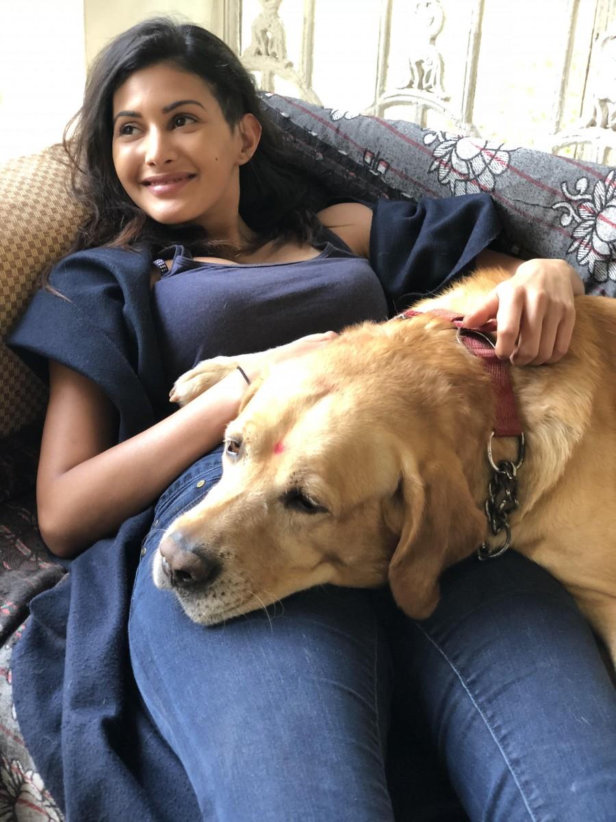 She also puts her resources to educate people on the truth of illegal breeding and hopes that in a few years, India will completely ban any breeding of animals and encourage adoption. Amyra Dastur,actress Amyra Dastur,Amyra Dastur with dogs,Amyra Dastur with cats,Amyra Dastur with pet animals,Amyra Dastur adorable pets,Amyra Dastur pics,Amyra Dastur images