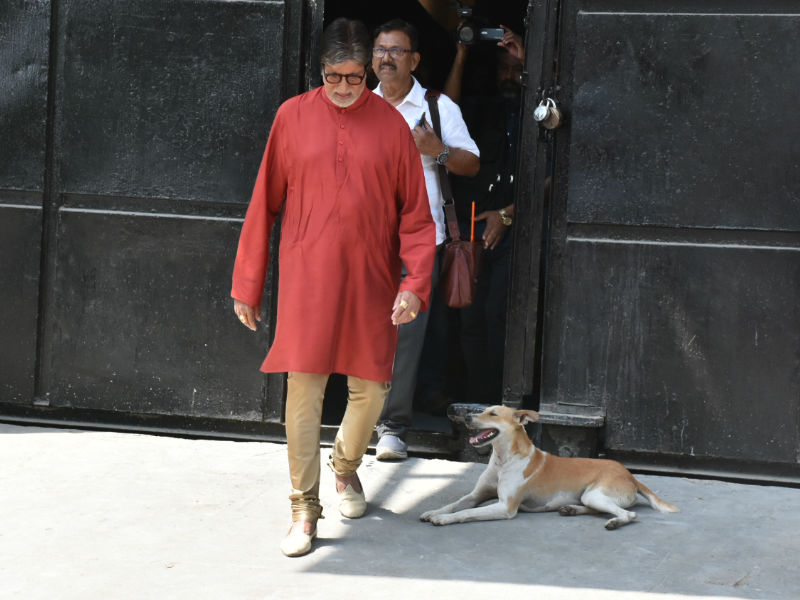 The legendary actor Amitabh Bachchan was recently spotted in Mumbai during photo shoot for Kalyan Jewellers. Amitabh Bachchan,actor Amitabh Bachchan,Amitabh Bachchan Kalyan Jewellers,Amitabh Bachchan Kalyan Jewellers ad,Kalyan Jewellers ad,Kalyan Jewellers,Amitabh Bachchan pics,Amitabh Bachchan images
