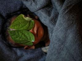 Pulitzer 2018 winning pictures,Pulitzer winning pictures,Pulitzer,Pulitzer Prize,Heart-wrenching photos,Heart-wrenching pics,Rohingya crisis,Myanmar and Bangladesh,Rohingya migrant crisis