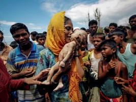 Pulitzer 2018 winning pictures,Pulitzer winning pictures,Pulitzer,Pulitzer Prize,Heart-wrenching photos,Heart-wrenching pics,Rohingya crisis,Myanmar and Bangladesh,Rohingya migrant crisis