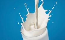 Milk: It is rich in calcium, protein, zinc, and vitamin B. A glass of milk can get you a sound sleep, thanks to the high levels of tryptophan and calcium. The health drink contains a hunger-fighting hormone (peptide YY - PYY), which keeps the stomach full for a longer period of time. Thus, it helps you reduce the sudden food cravings.